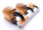 Danger sur la cigarette