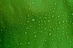 Drainage